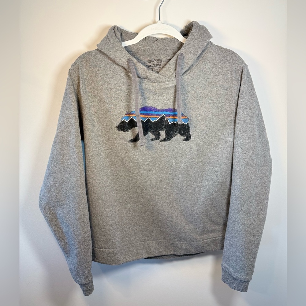 Patagonia Y2K Gray Classic Womens Hoodie with Bear Graphic size Small